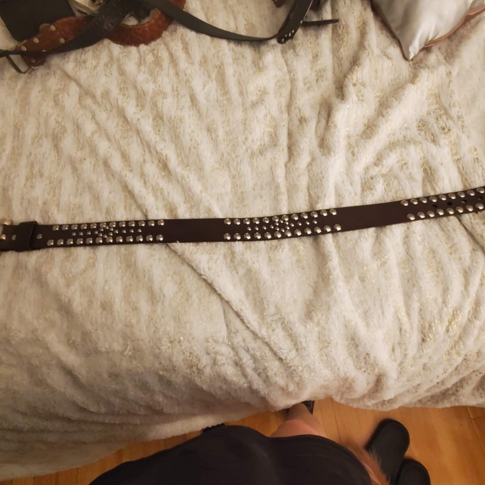 Bcbg belt